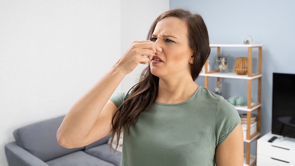 Six Common Air Conditioner Smells Explained and How to Fix Them
